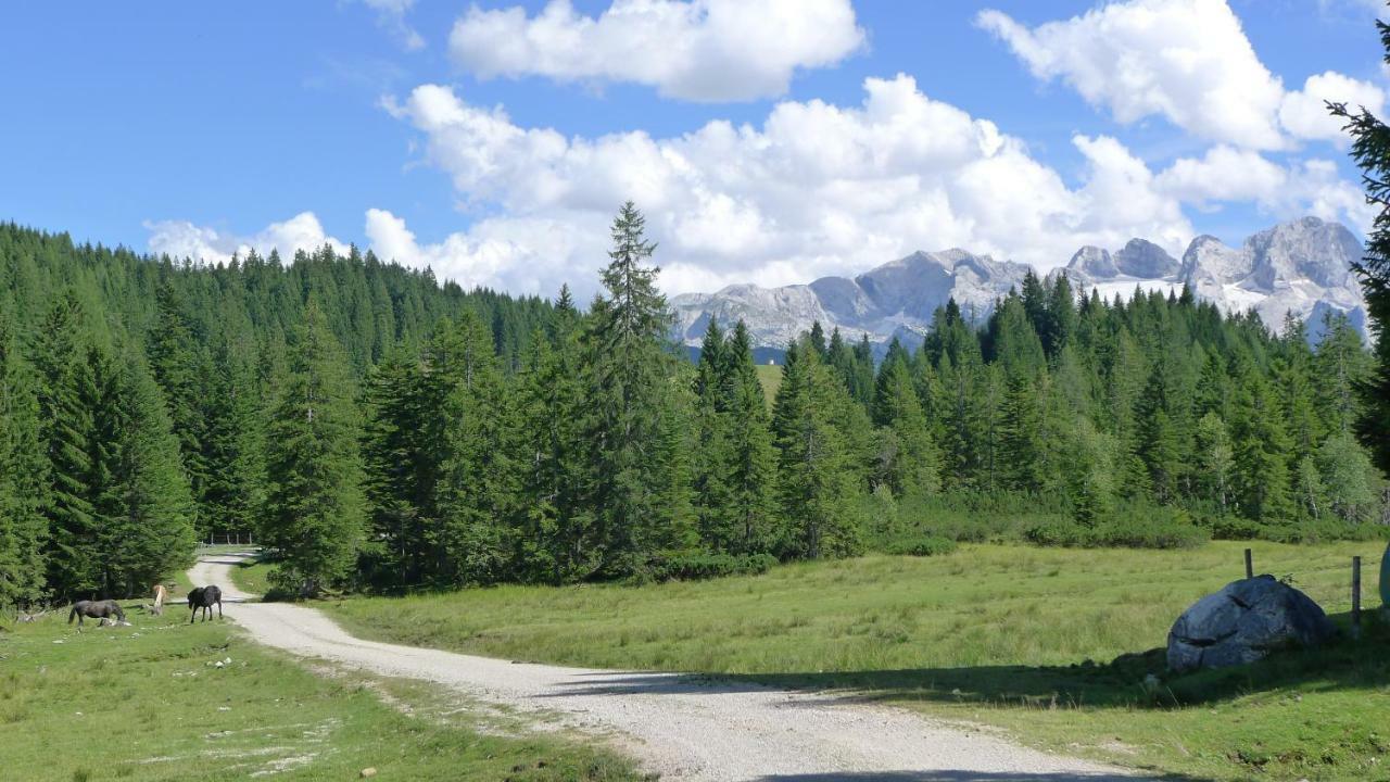 Alpenhaus Dachstein.Zauber Abtenau Exterior foto