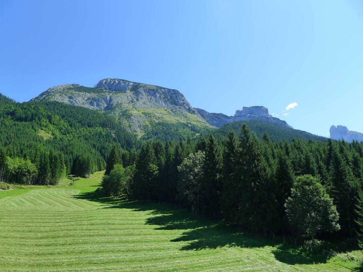 Alpenhaus Dachstein.Zauber Abtenau Exterior foto